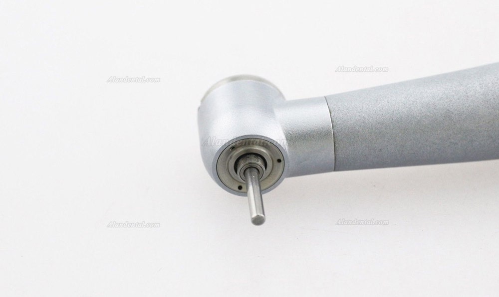Being® Louts 302PB High Speed Push Button Large Handpiece with KAVO Coulper